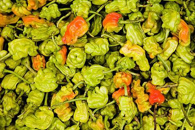 《死亡空间：重制版》中文实机演示 明年1月27日发售